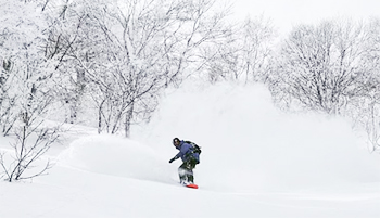 Group Backcountry Tour